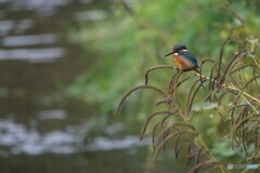 お久しぶりです 2/2