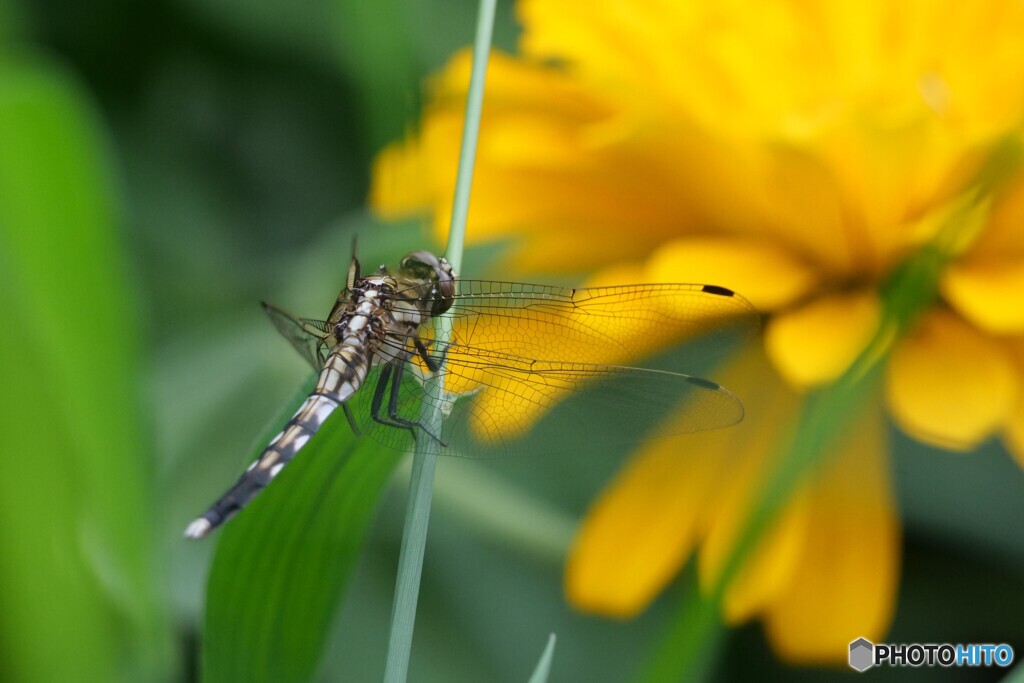 2025年の振り返り 1/12