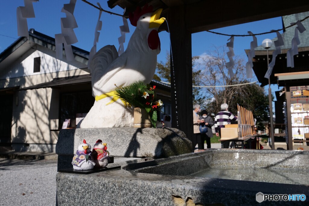 鷲宮神社 3/4
