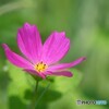 優しさを貴方にも