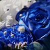White ＆ Blue