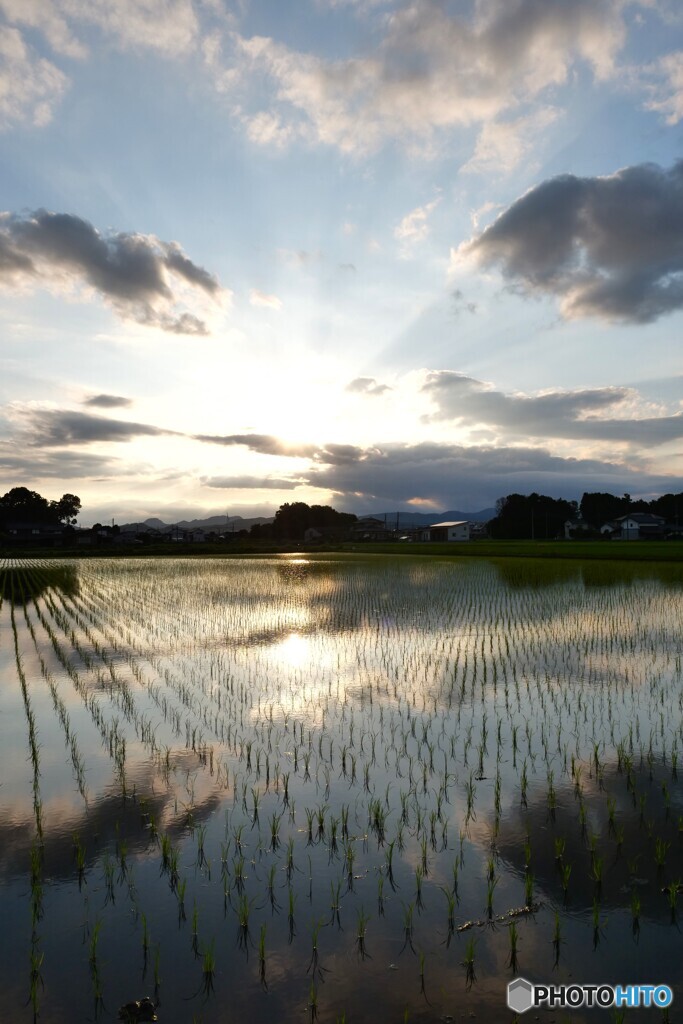 静かな夕暮れ