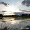 静かな夕暮れ