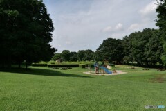 ♪ 今はもう夏　誰もいない公園