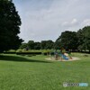 ♪ 今はもう夏　誰もいない公園