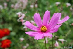 明るく陽気に、いきましょう。