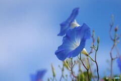 秋の気配はどこ？