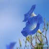 秋の気配はどこ？（夏の残像）