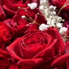 Red ＆ White