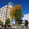 銀杏のある交差点