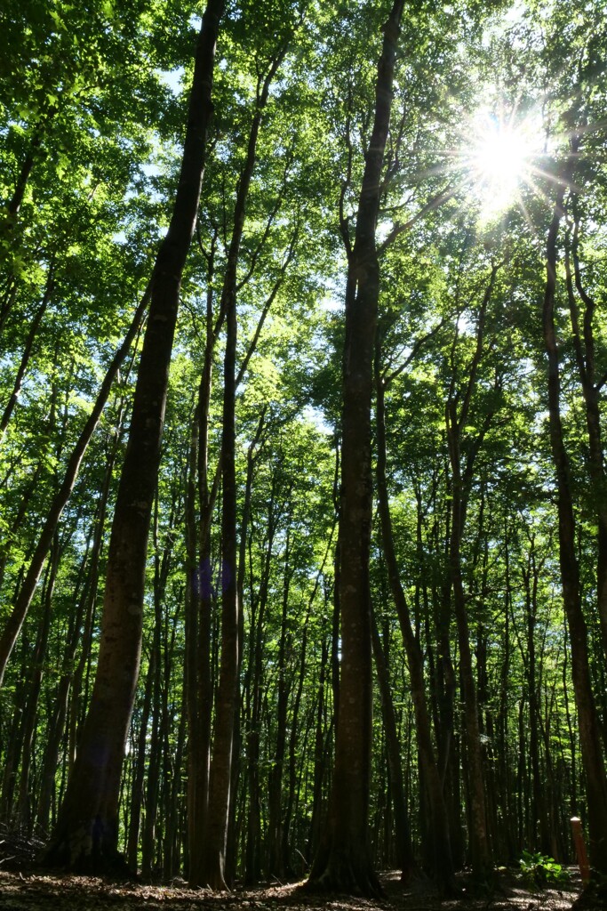 空に向かって