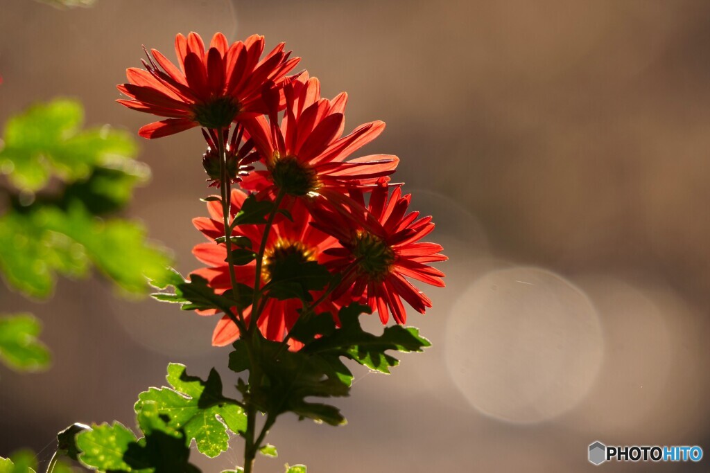 後ろ姿に惹かれます