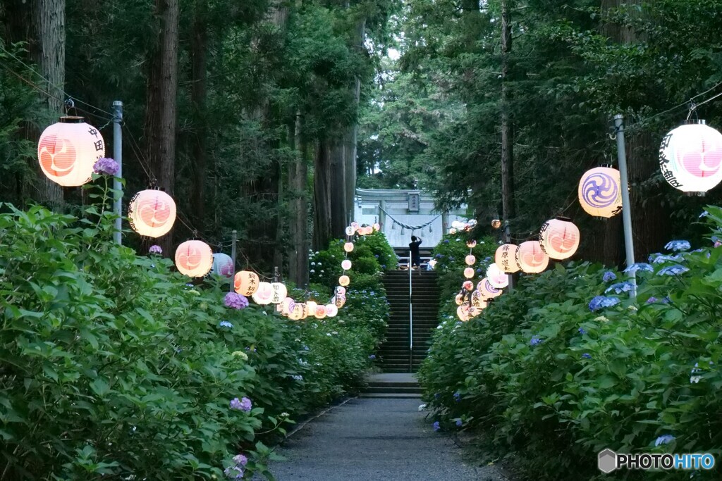 提灯が灯る頃