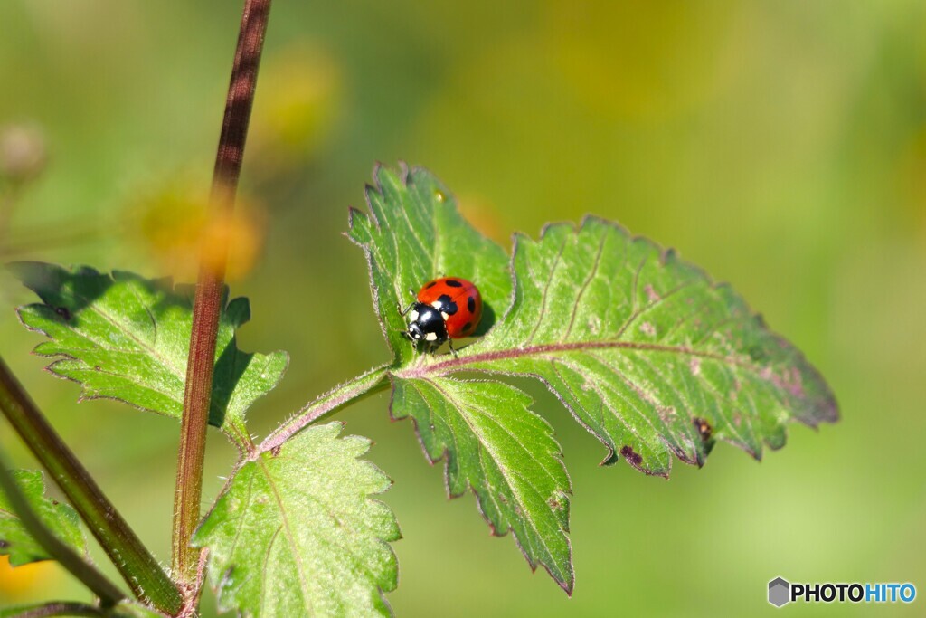 いい日和ですね