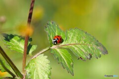 いい日和ですね