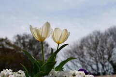 うれしそうな二人