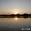 日が暮れます