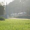 朝散歩