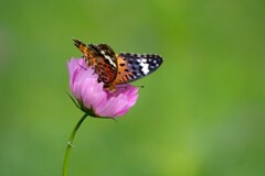 小さな幸せを感じる時　　