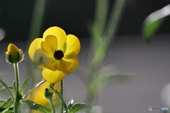 寒さの中でほっこりと