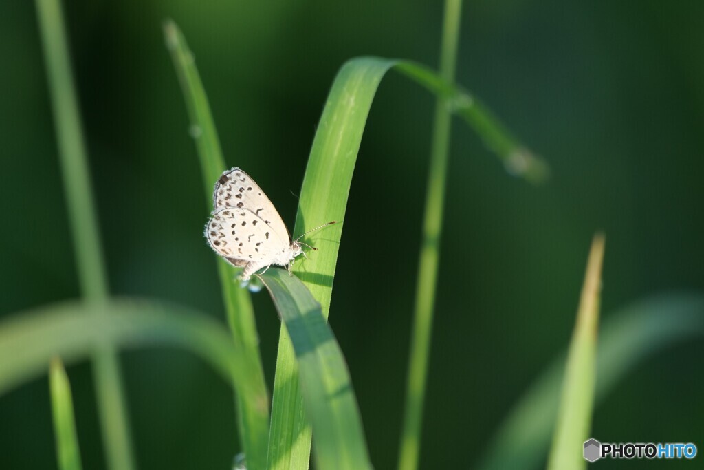 眩しい朝