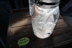 光と花が織り成す世界