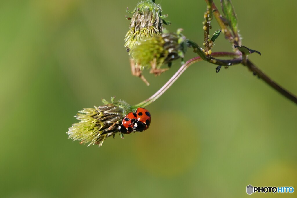 2025年の振返り 5/12