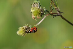 2025年の振返り 5/12