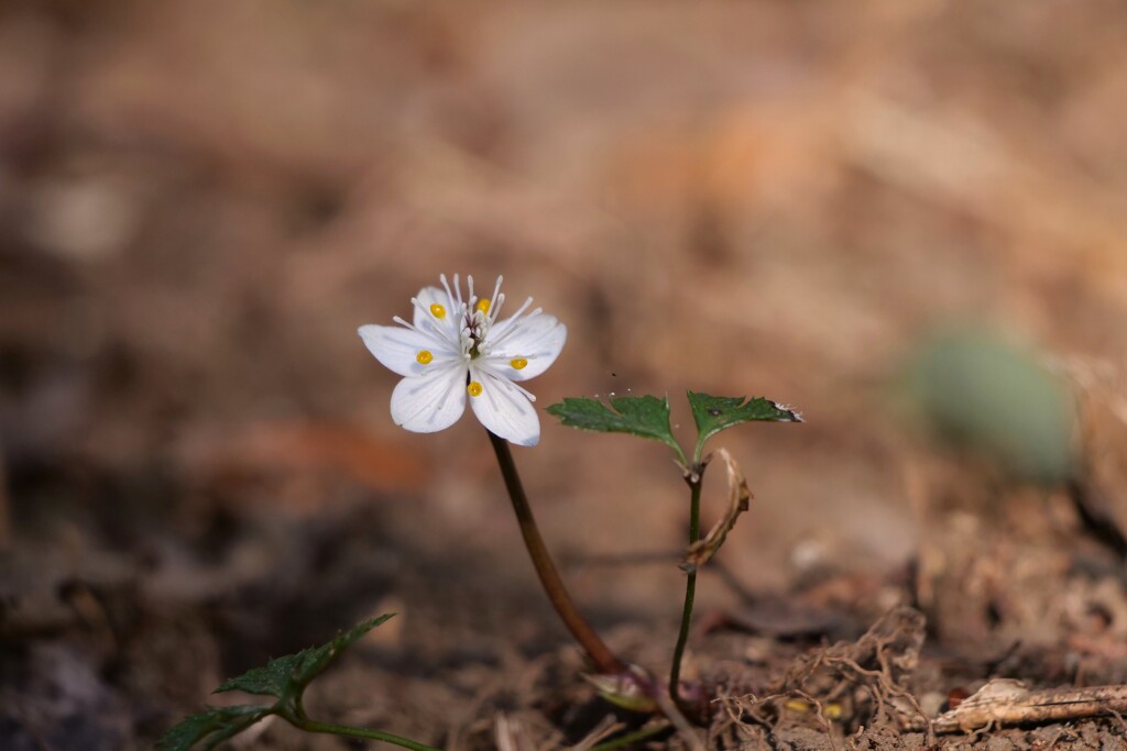 じっとこらえる