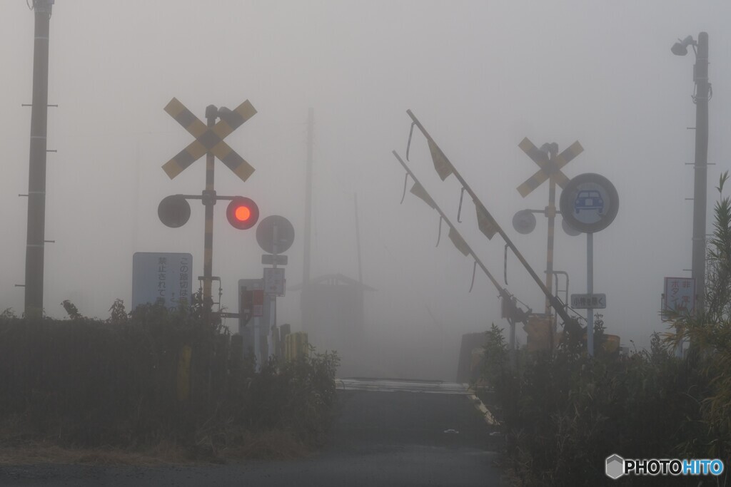 霧立ち込める朝 2/2