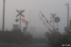 霧立ち込める朝 2/2