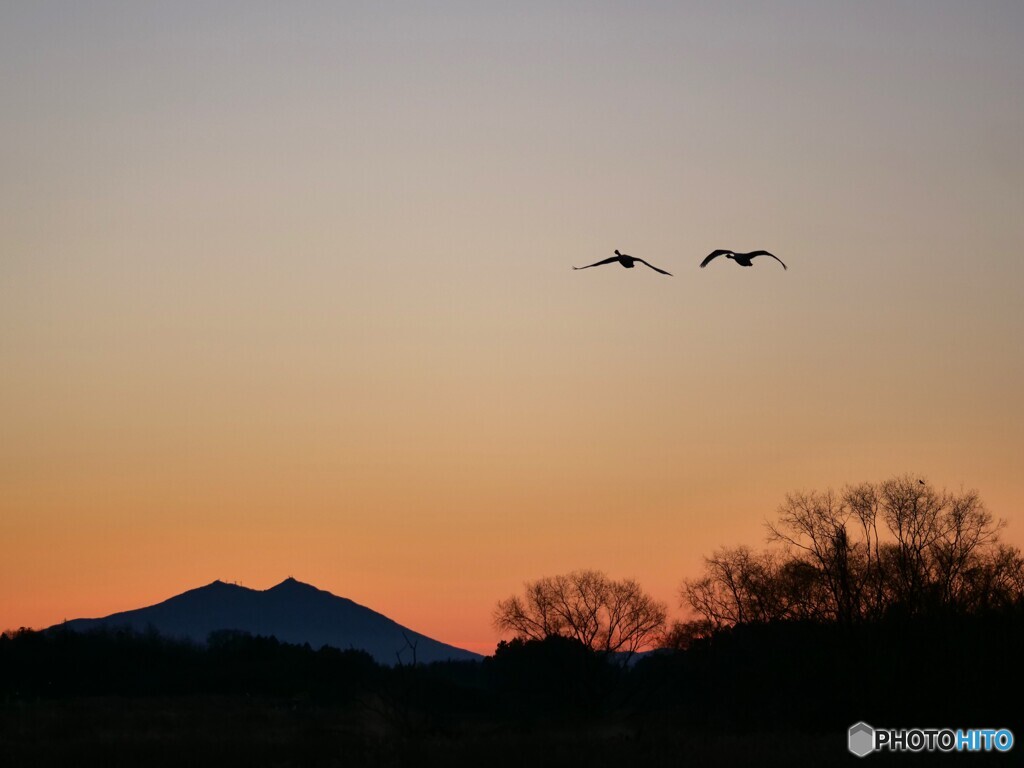 曙色の空