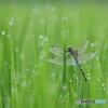 静寂の中に