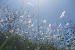 晴れ渡る秋空の下で