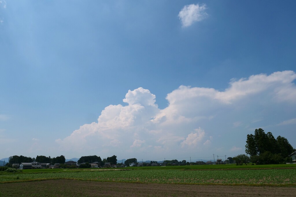 積乱雲が育ちます