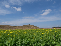 菜の花畑の古墳