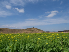 菜の花畑の古墳