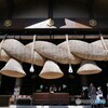 様々な角度から秋を探してみました 3/3