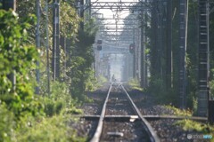線路を渡る