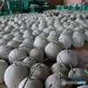 独り占めにしたい