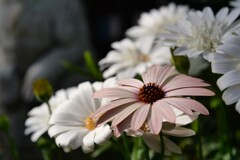 温もりを貴方に