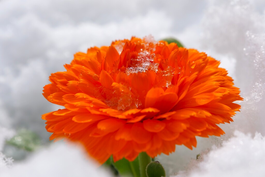 春の柔らかな気配