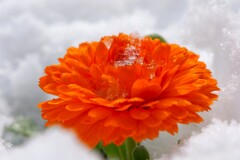 春の柔らかな気配