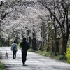 午後の散歩
