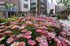 街に飾る花