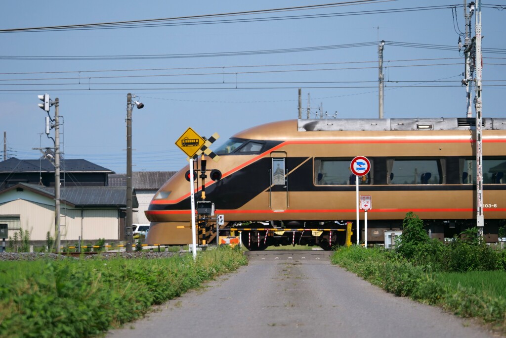 小さな踏切と特急列車