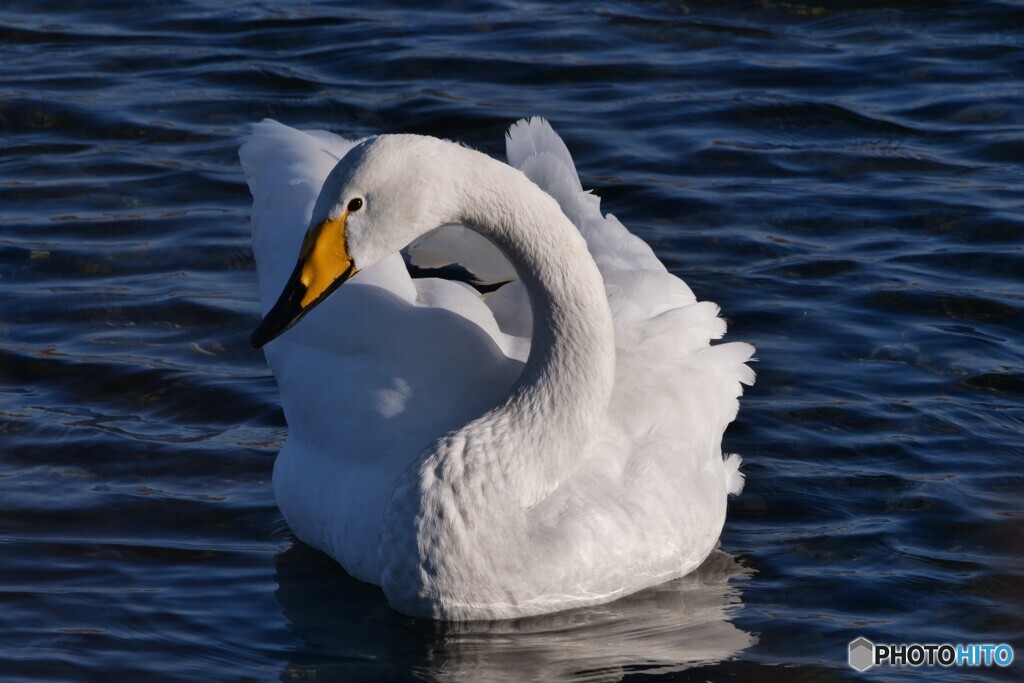 愁いを帯びた瞳