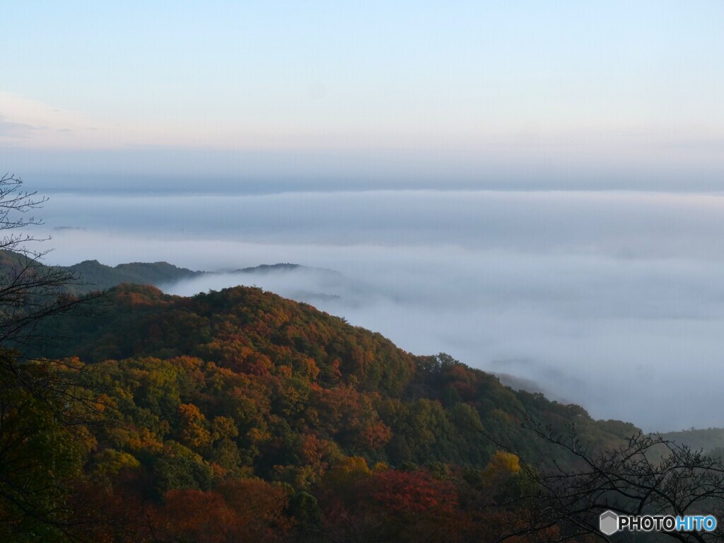 初冬の雲海