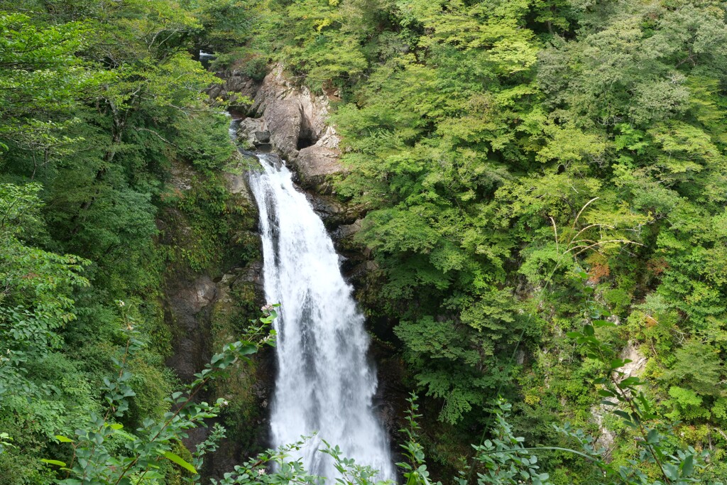 秋保大滝