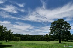 夏休みの風景